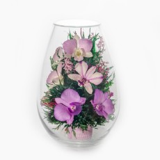 FIORA Арт:42799 цветы в стекле
